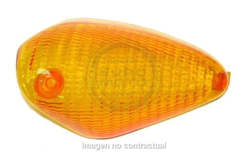 Tulipa intermitente delantero derecho SGR 12237961