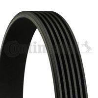 Correa trapecial poli V CONTITECH 6PK1020 - Precio: 12,74 € - Megataller